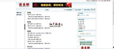 国产v网站,探索中国网络文化新篇章