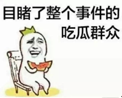 娱乐吃瓜酱谐音是什么歌,揭秘网络热词背后的音乐魅力