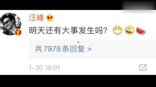 娱乐吃瓜官方入口网站,带你畅游娱乐圈的幕后风云